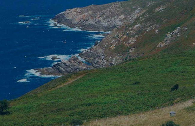 Isla Ons Boat Trip - Photo 2