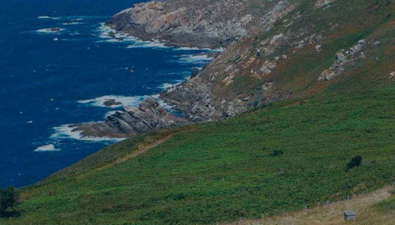 Isla Ons Boat Trip - Foto 2