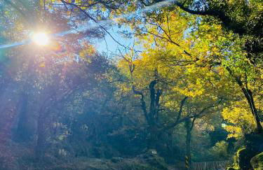 Hotel AV Apartamentos Lobios - Foto 58