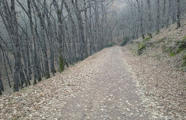 CASA RURAL LAS NAVILLAS - Foto 17