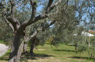 Casale Bramasole - Foto 36