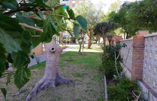 Apartamento Aurora - Foto 60