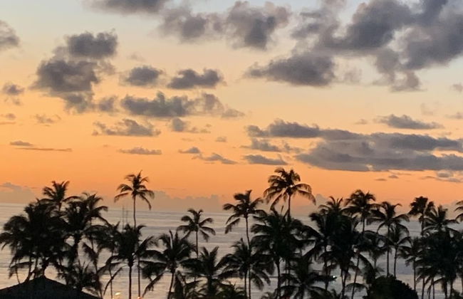 Oceanside Luxury The Cove Palm Beach 2BR 2 5BA - Foto 27