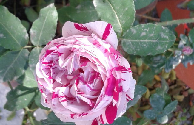 Locanda dei Buoni e Cattivi - Foto 60