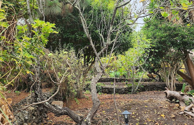 Oasis Hill Botanical Garden - Foto 76