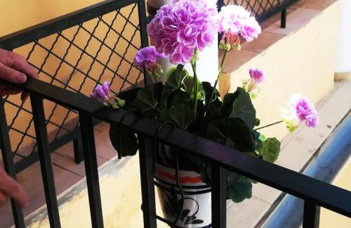 El Patio de San Bernardo - Foto 48