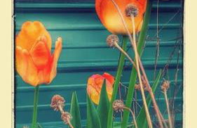 Deer Valley Retreat, Lovely Log Cabin with Fireplace & Garden Views- Perfect for a Relaxing Getaway! - Foto 4