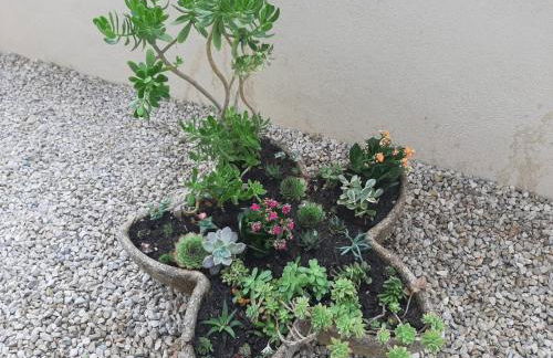 Mas du Magaou Pres de Marseille, Cassis, Aix-en-Provence - Foto 31