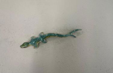 San Fabiano - Foto 19