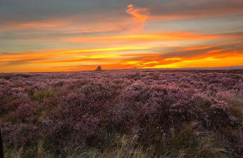 Country Cottage with Steam Railway Views - Foto 11