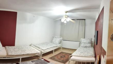 Detached vacation home for 12 guests, natural garden - Photo 2