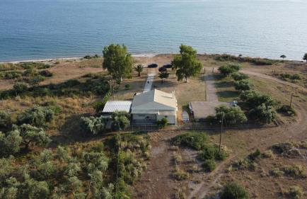 O κήπος της Εδέμ / Garden of Eden - Foto 6