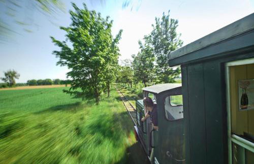 Ostseeferienhaus Nebengebäude - Foto 41