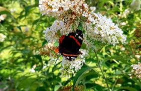 Ferienhaus Chiemgauer Auszeit- Chiemgaukarte inclusive - Foto 28