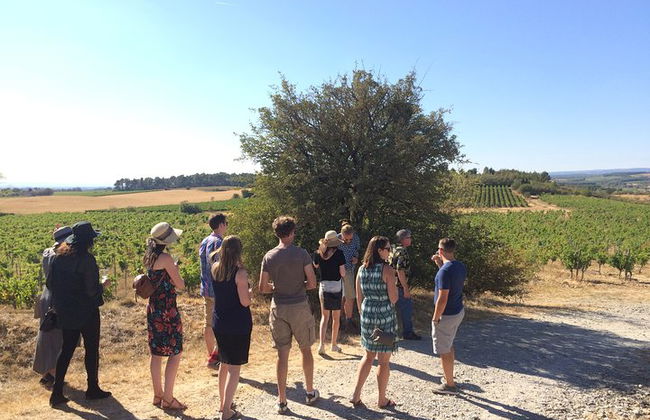Day tour : Cité de Carcassonne and wine tasting. private tour from Carcassonne. - Photo 3