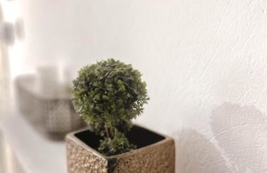 Boutique maison Filiatra - Photo 39