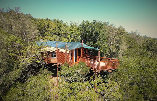 Teniqua Treetops - Foto 8