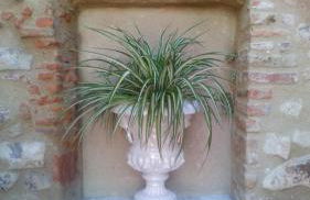 DIANA JARDÍN - Foto 16