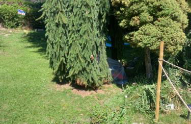 Maison du bois - Photo 10