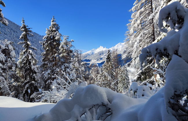 Lieblingsplatz - Foto 38