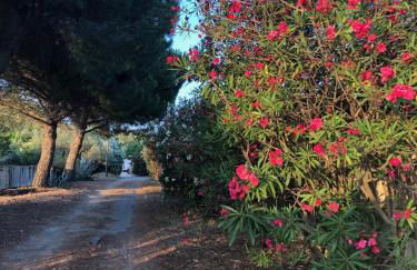 Mas de Plisset - Foto 23