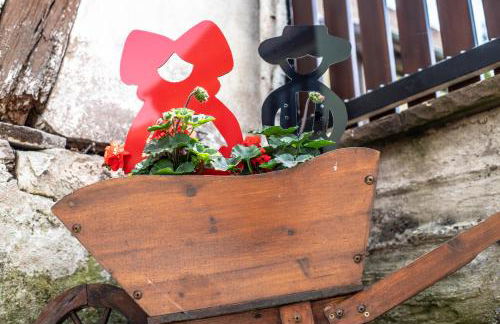 Gîte le coeur d'Alsace - Foto 50