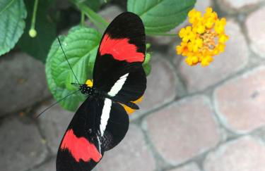 Ferienhaus Sonnenlicht - Familien und Kiter "Willkommen" - Foto 19