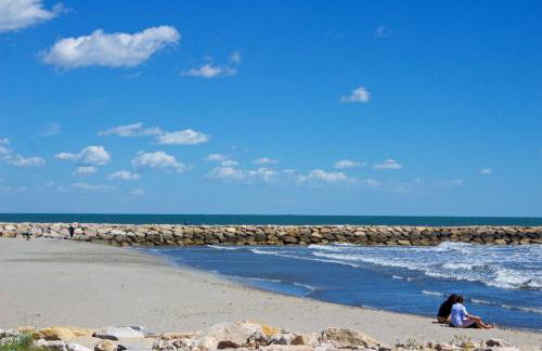 Gîtes Equestres Lou Caloun - Les Saintes Maries de la Mer - Foto 12