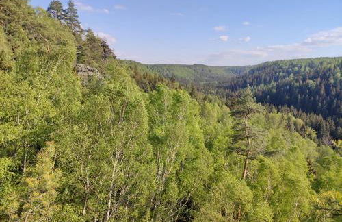 Ferienwohnung Sächsische Schweiz - Foto 21