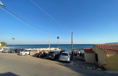 Terry Studio - Foto 64