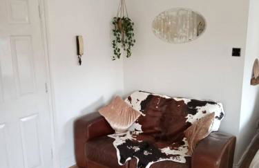 Havisham Studio Flat Rochester ME1 1XZ - Photo 16