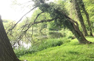 Gartenidyll - Foto 7