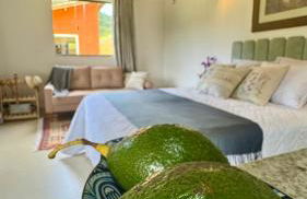 Sítio Koi - Photo 47