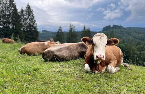 Siebenschläferhütte - Photo 36