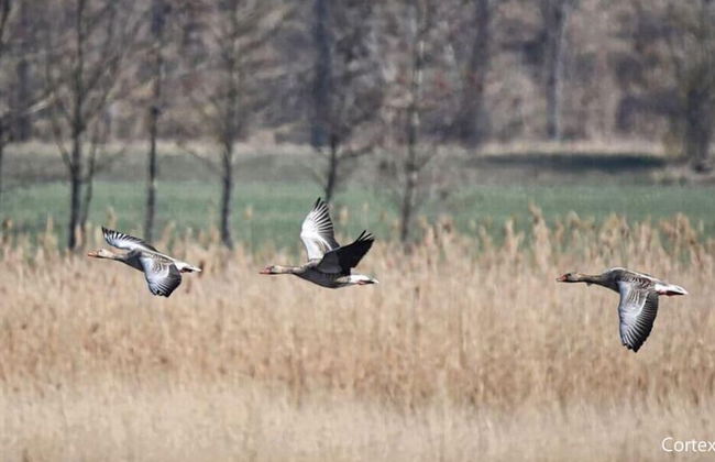 A House to Stay for Holidays - Foto 17