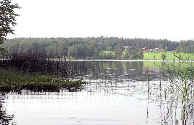 Liisan pirtti - Foto 8