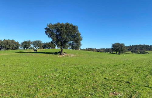 Casa Bendi - Foto 35