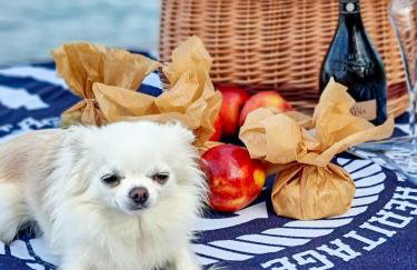 Bobrowa Ostoja - Photo 36