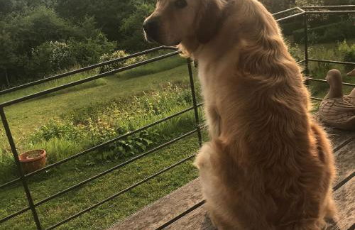 Maison plain-pied à Chartres, vue cathédrale, accessible PMR - FR-1-581-97 - Foto 19