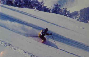 I Faggi Rossi - Foto 18