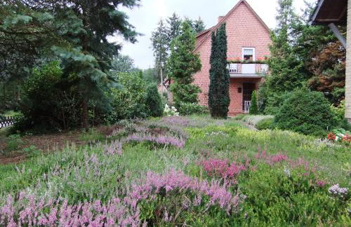 Ferienwohnungen Liedtke - Foto 18