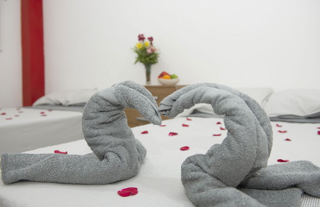 Atahualpa Suites Apartment Rentals - Photo 8