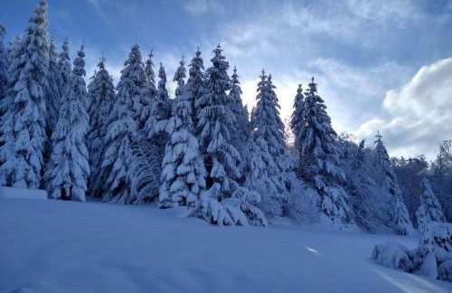 Chalet neuf avec jacuzzi privé, vue imprenable sur Massif des Vosges - Foto 7