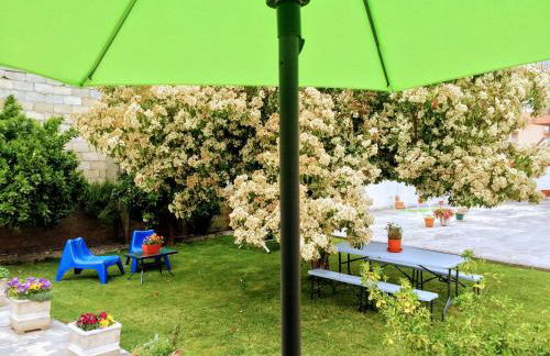 Casa de Férias MariCeu Mirandela - Foto 23