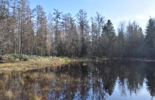Cottage Near Bourtange With Hot Tub - Foto 33