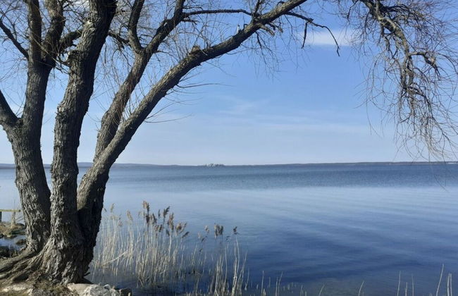 Dornbusch Apartment 3 - Photo 11