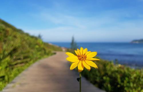 Villa Rosa e Mar - Praia do Rosa - Foto 14