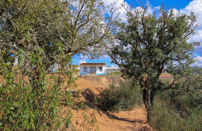 Monte Sardinha - Foto 64