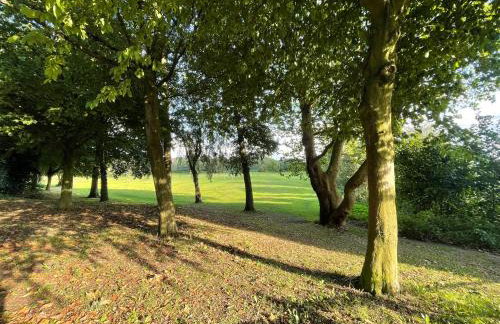 5- Large 1 bed Apartment- West Midlands - Foto 17