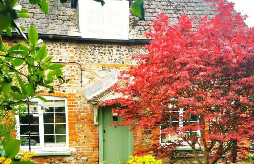Historic, traditional & Spacious Wiltshire Cottage - Foto 1